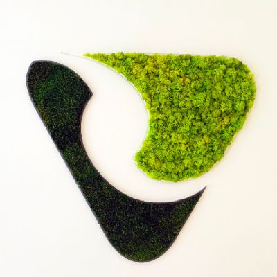 Akuo Energy SAS