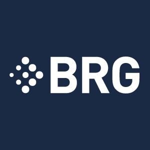 Berkeley Research Group