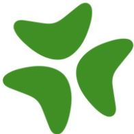 Bloomerang