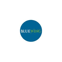 BlueWing Ventures