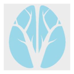 Cerveau Technologies