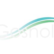 Gosnold, Inc.
