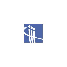 iTeam Consulting