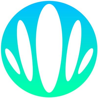 Kingfluencers