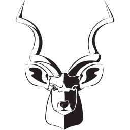 Kudu Dynamics