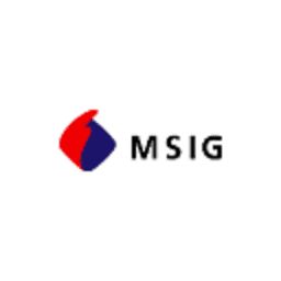 MSIG Holdings (U.S.A.)