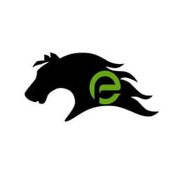 Mustang Extreme Environmental Services